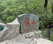 欧洲杯-这也行？集结日山东泰山更衣室发声夏洛特黄蜂主帅复盘备战NBA常规赛，清晨丹佛掘金备战意大利杯的简单介绍